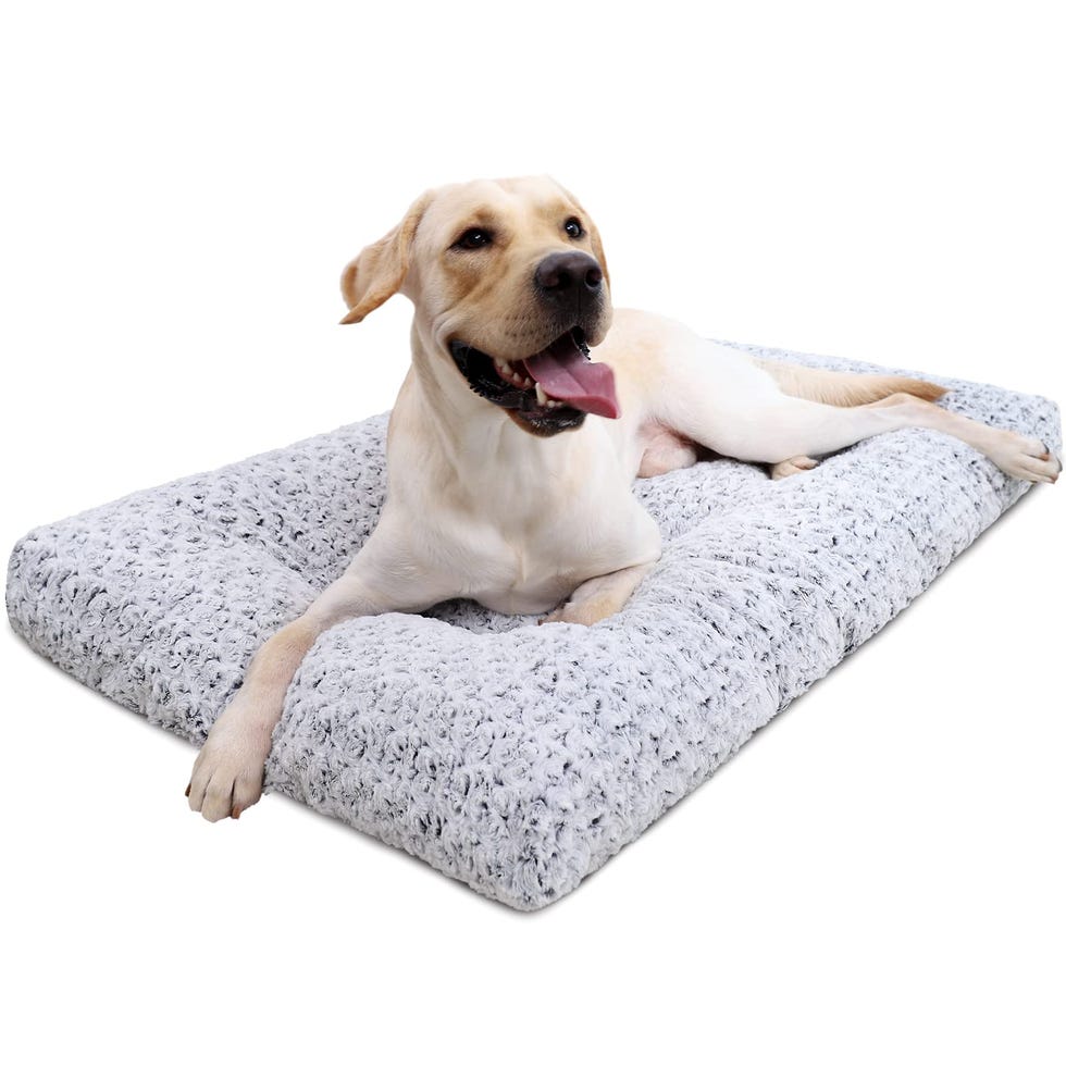 Washable Dog Bed Washable Dog Bed