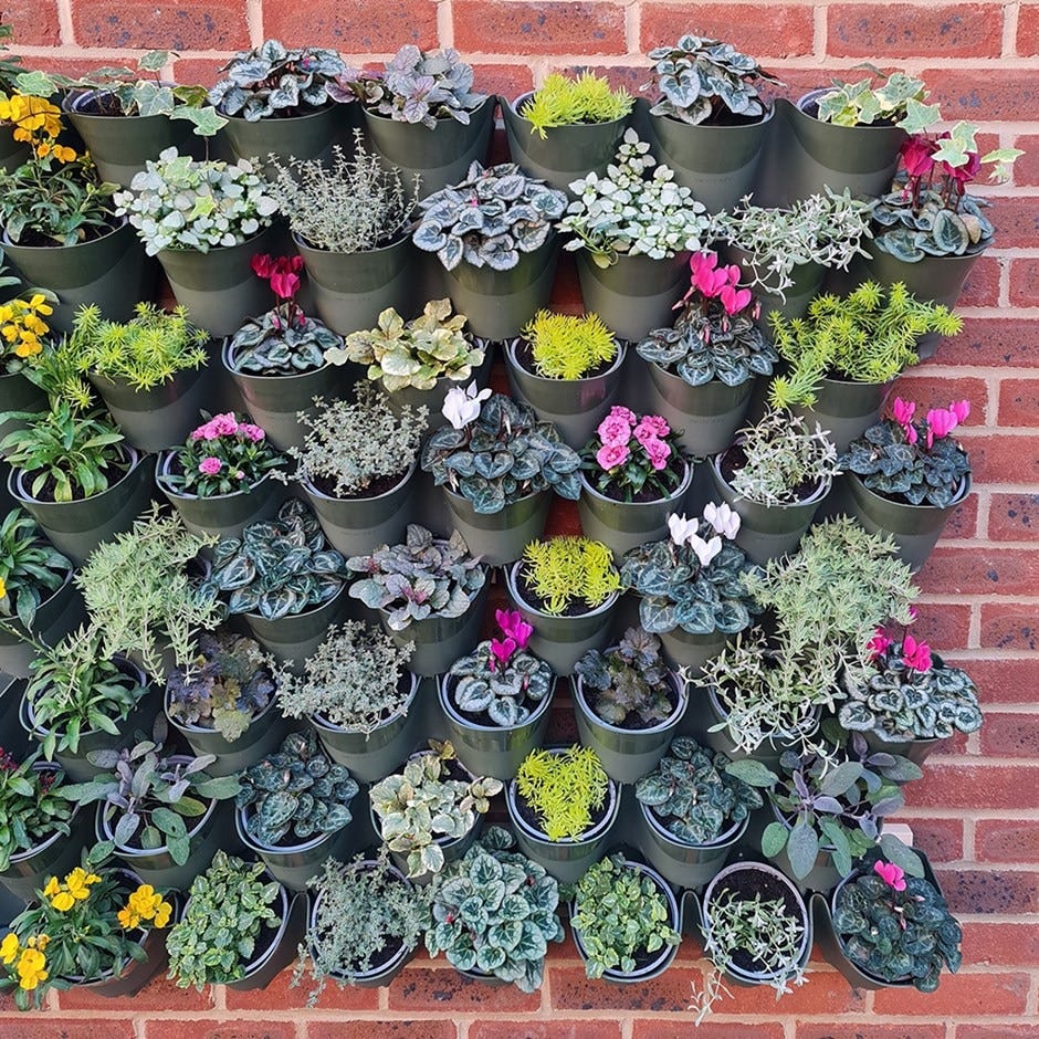 Living wall vertical planting set - 2.3m2