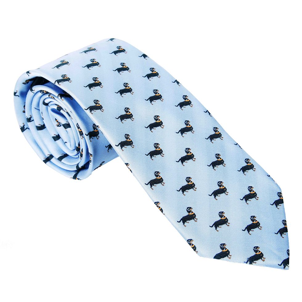 Corbata azul claro de perro 
