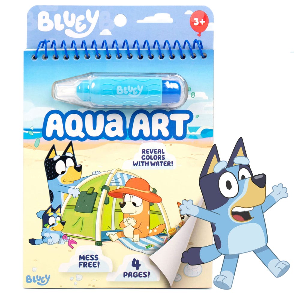 Bluey Aqua Art