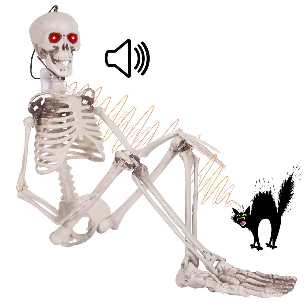 Hanging Posable Skeleton Hanging Posable Skeleton