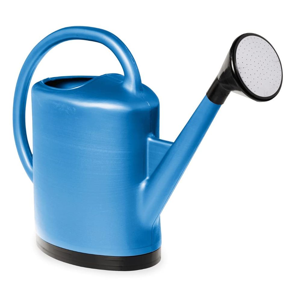 French Blue Watering Can