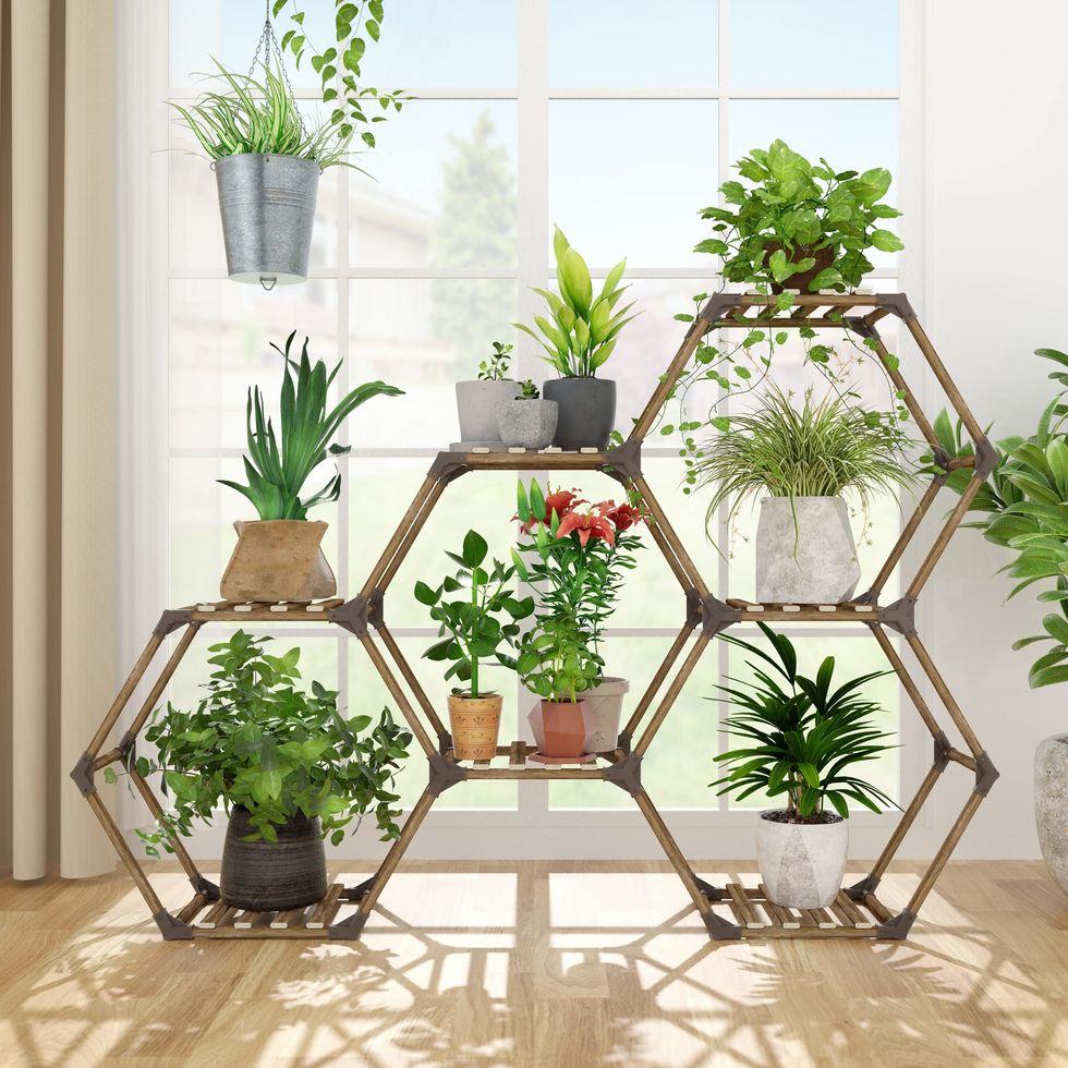 Hexagonal Plant Stand