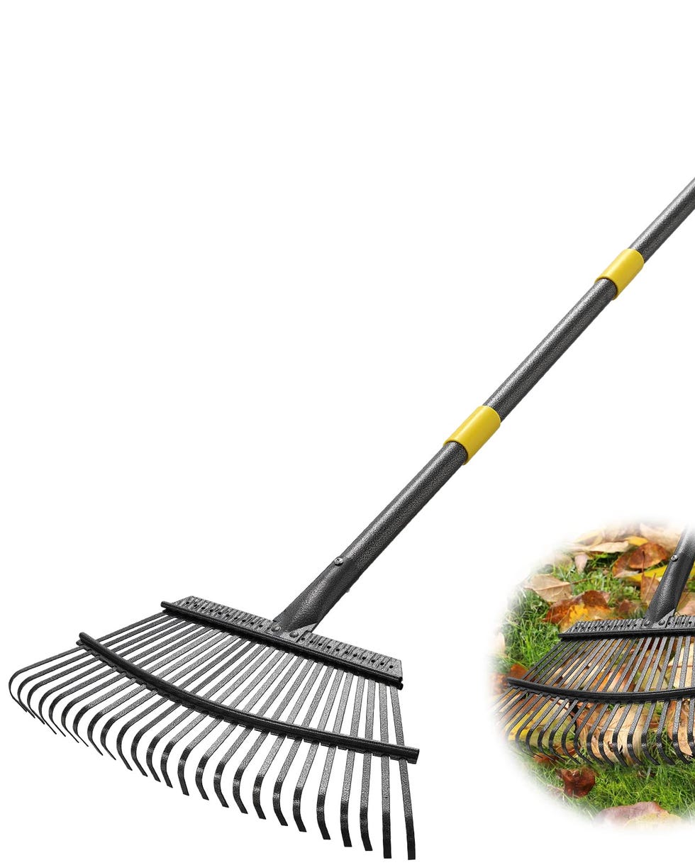 10 Best Leaf Rakes for 2023