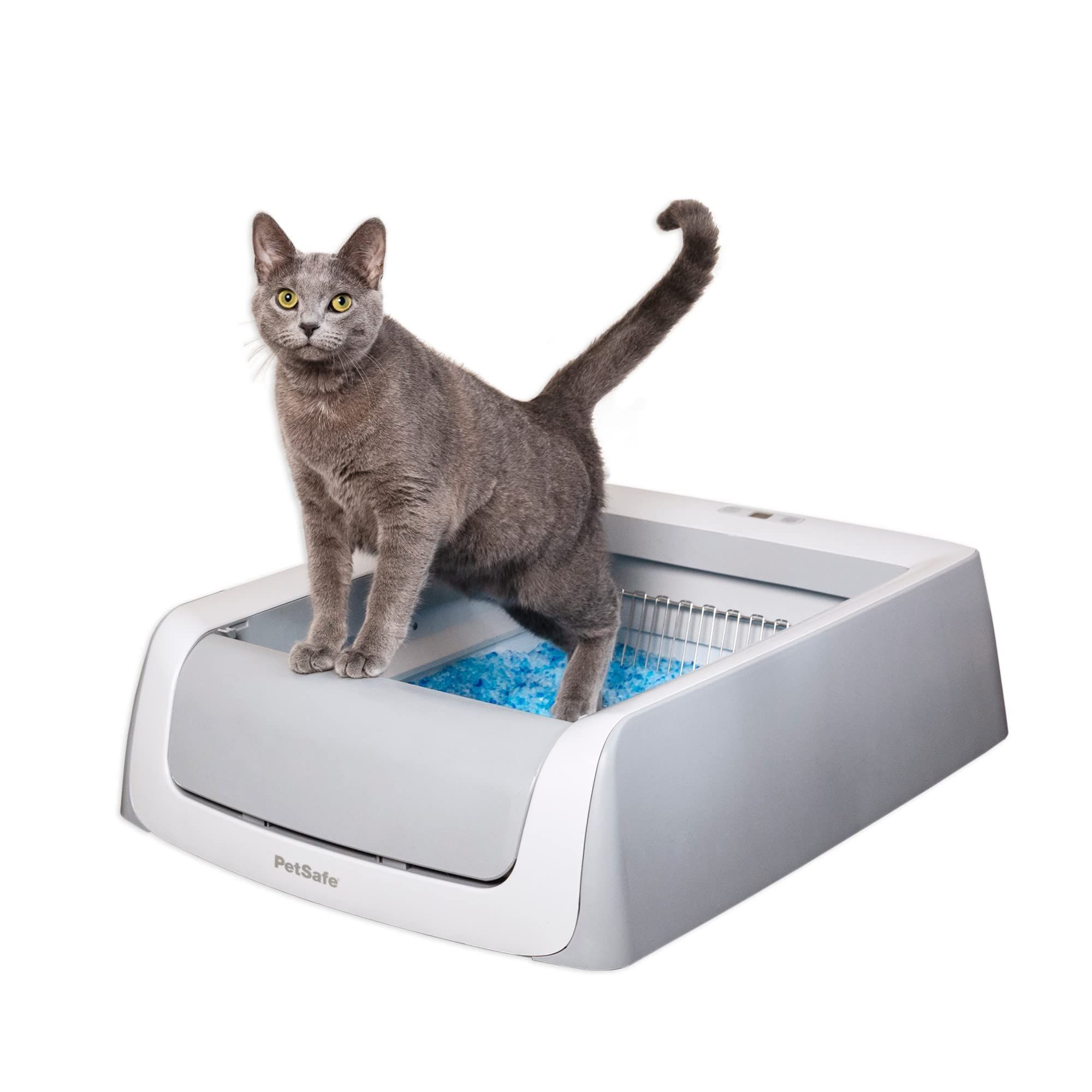 Washing cat shop litter box