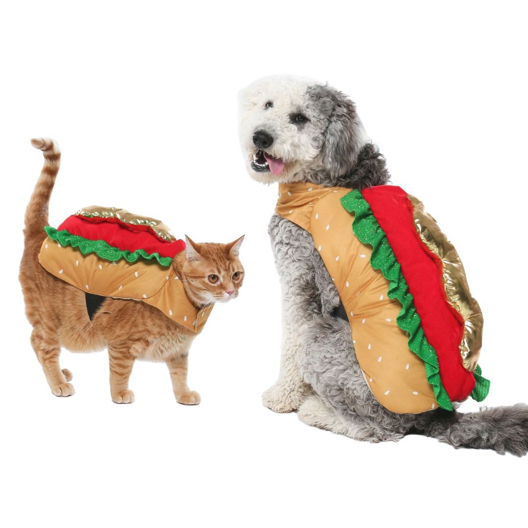 20 Best Halloween Costumes for Cats