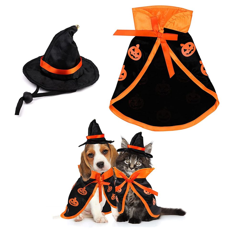 20 Best Halloween Costumes for Cats