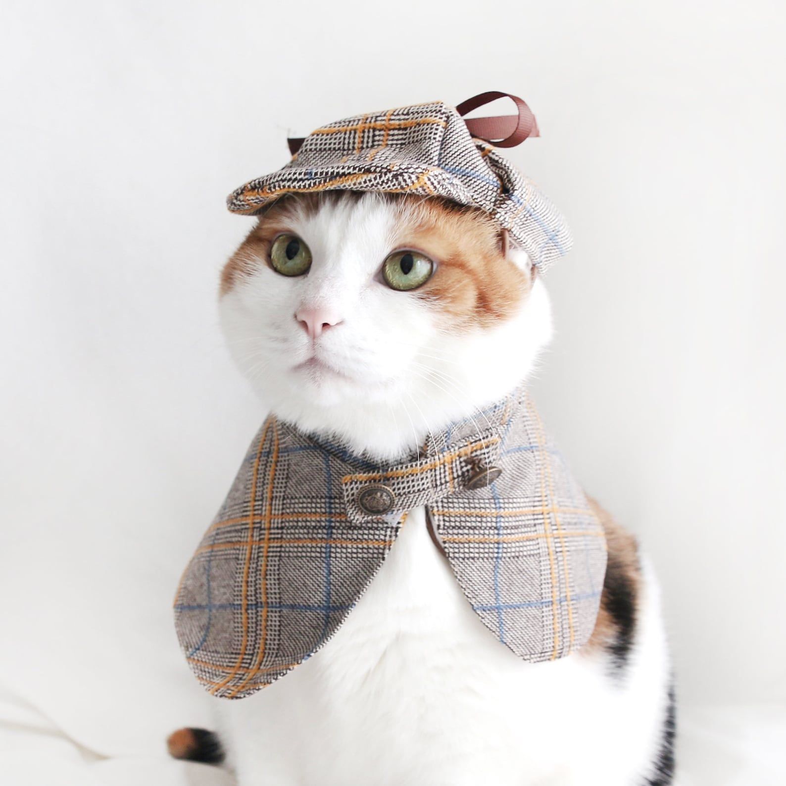 Sherlock holmes outfit outlet for dogs