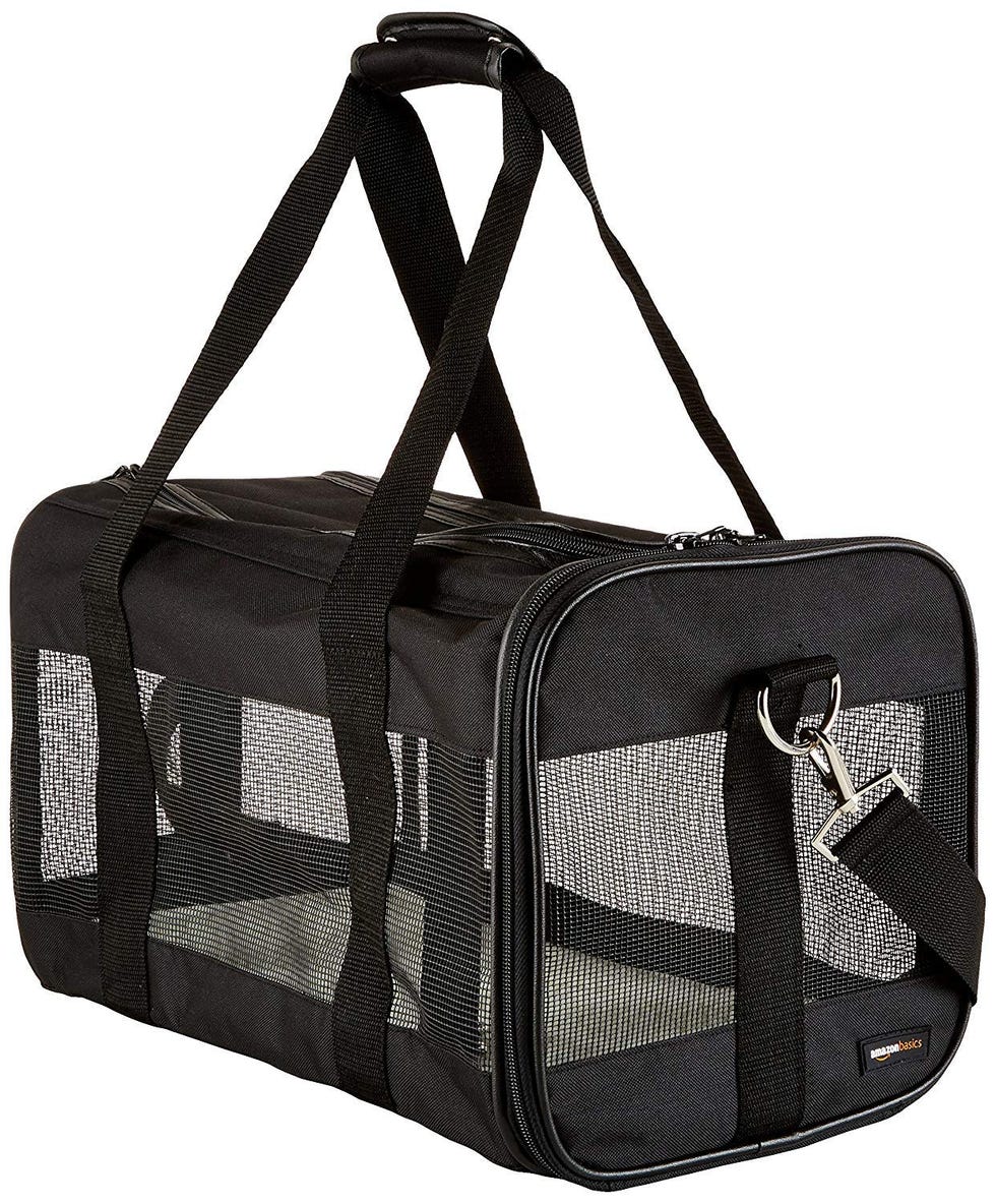 Soft-Sided Mesh Pet Travel Carrier