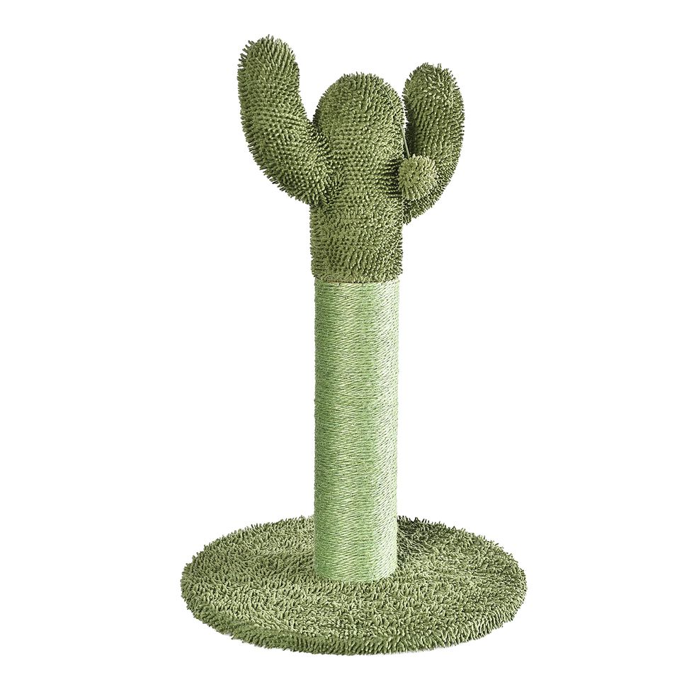  Cactus Cat Scratching Post