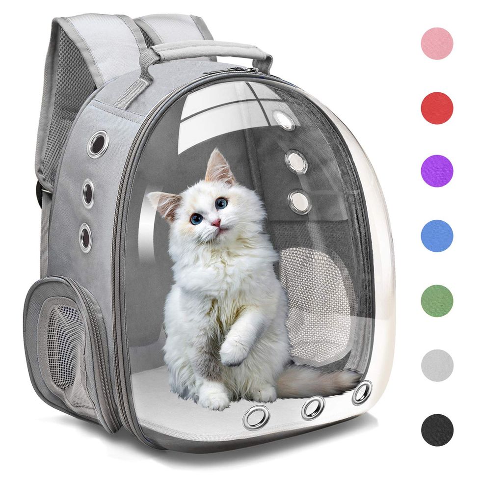 Bubble Carrying Bag (Small-Medium Cats and Dogs)
