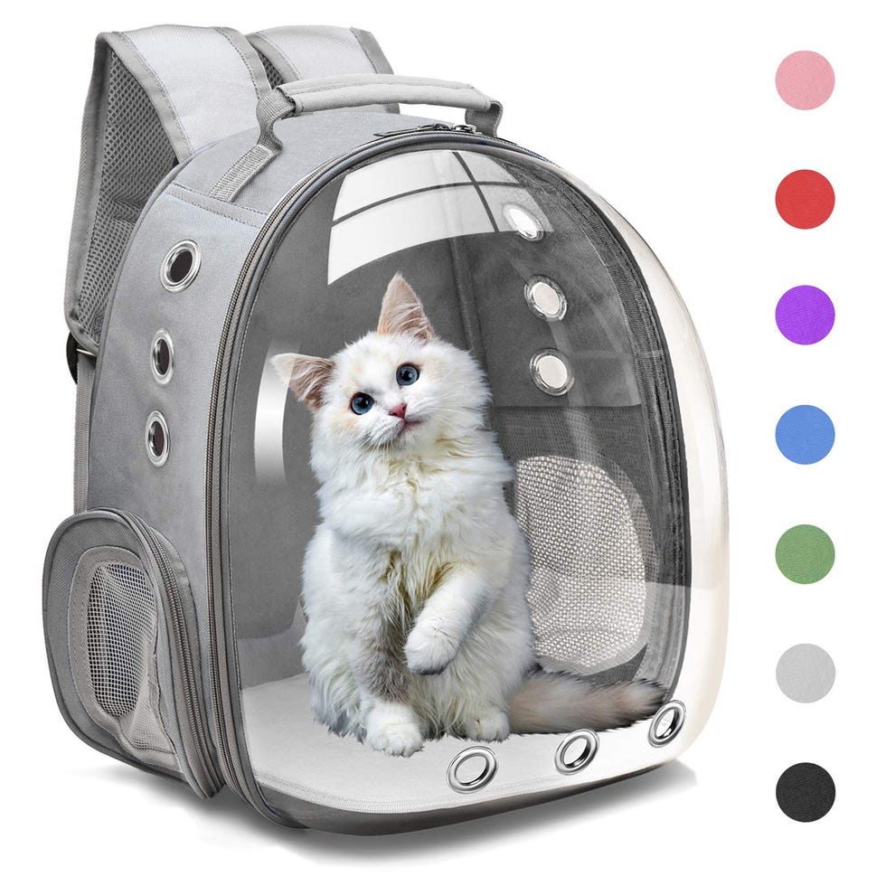 Bubble Carrying Bag (Small-Medium Cats and Dogs) Bubble Carrying Bag (Small-Medium Cats and Dogs)