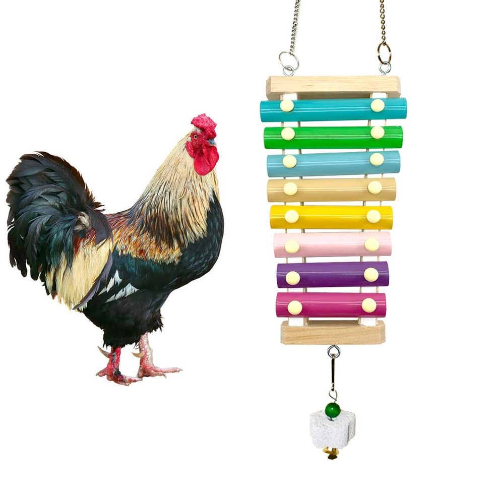 Chicken Xylophone Toy 