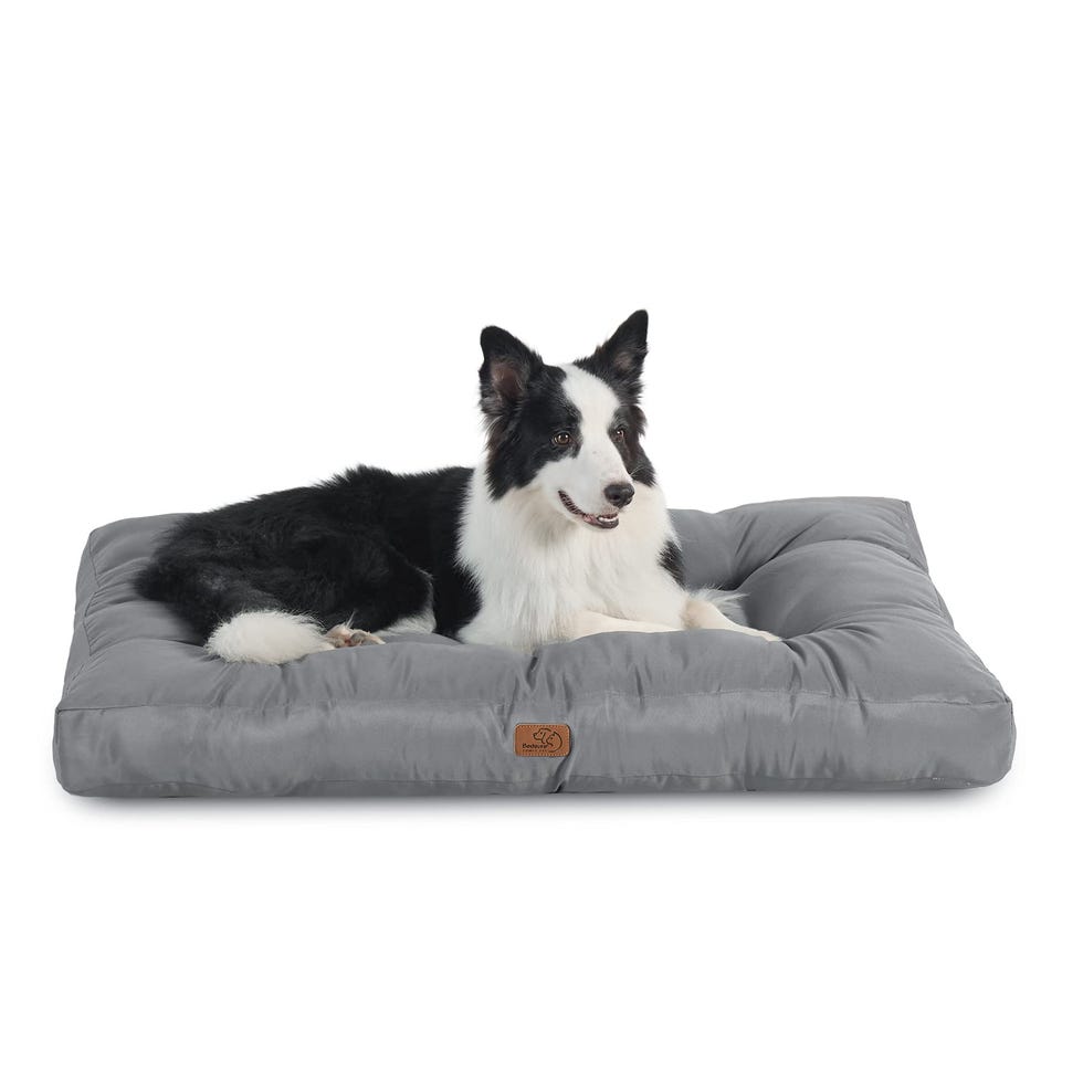 Cama para perros impermeable