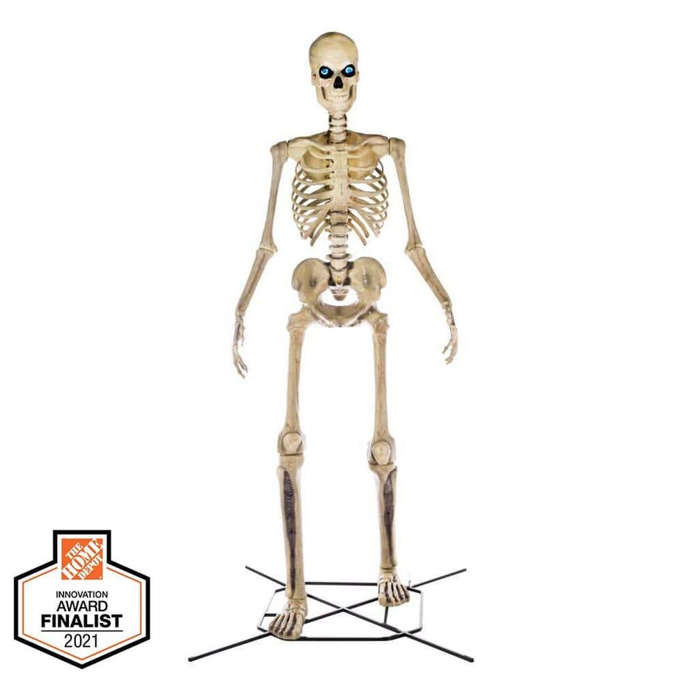 Giant-Sized Skeleton with LifeEyes(TM) LCD Eyes