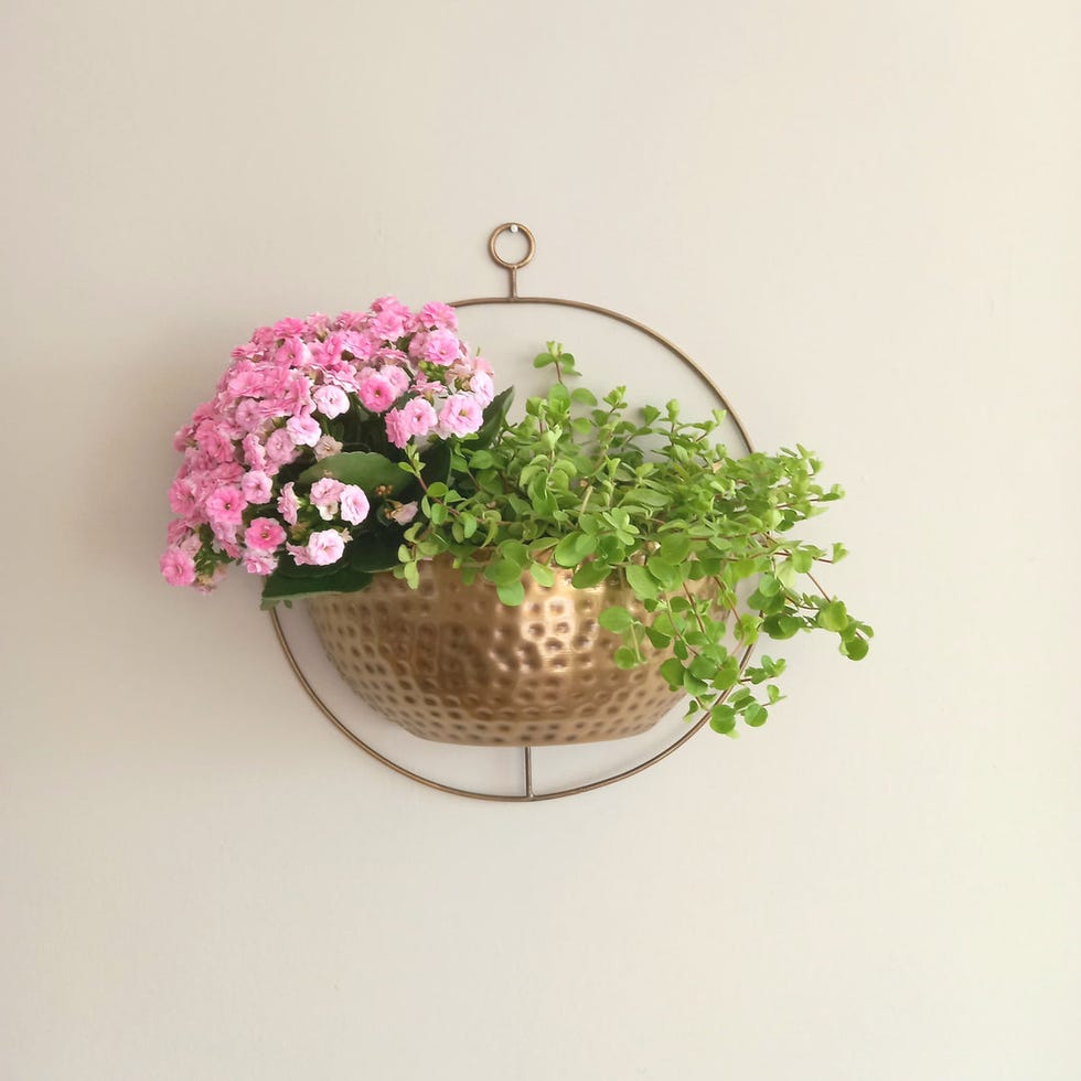 gold wall planter