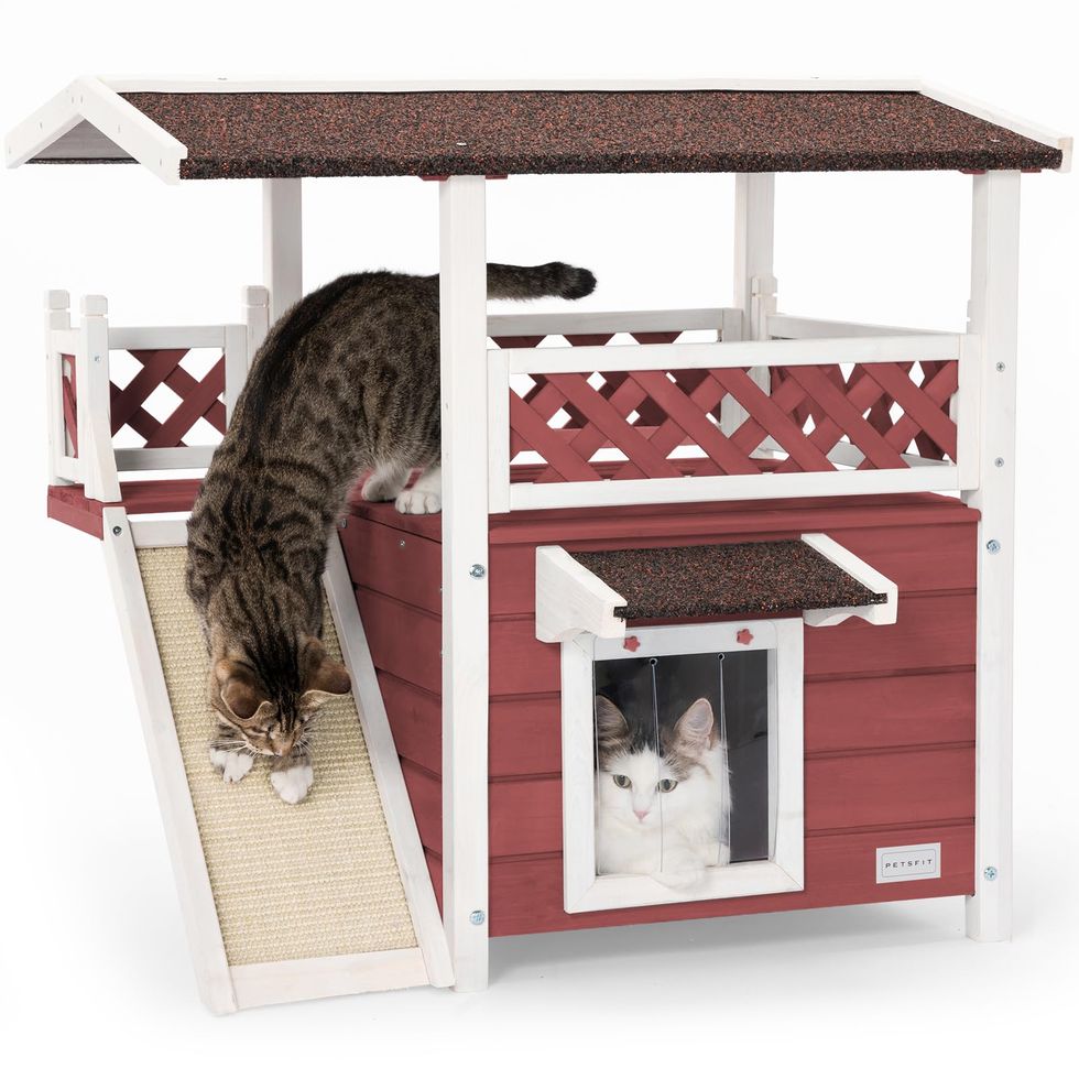 Outdoor Cat House With Scratching Board
