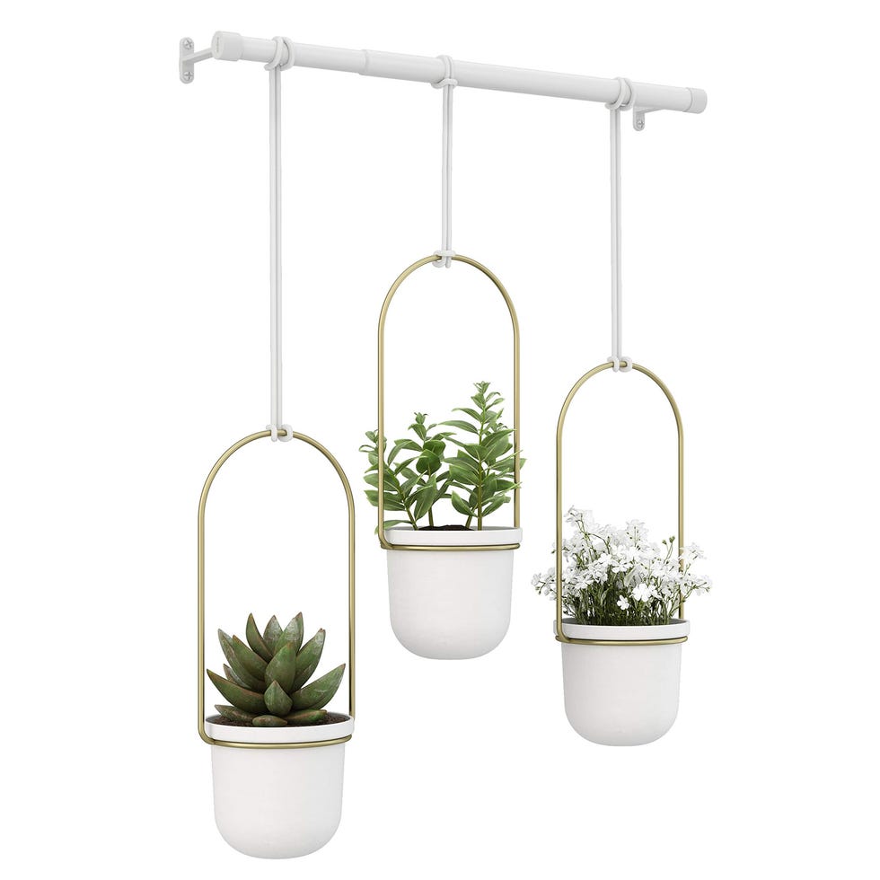 Triflora Hanging Planter