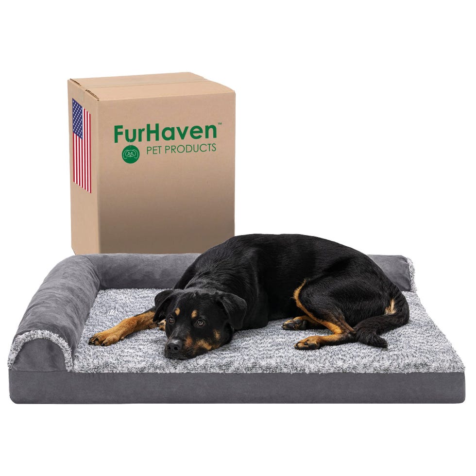 Orthopedic Dog Bed for Large Dogs 
