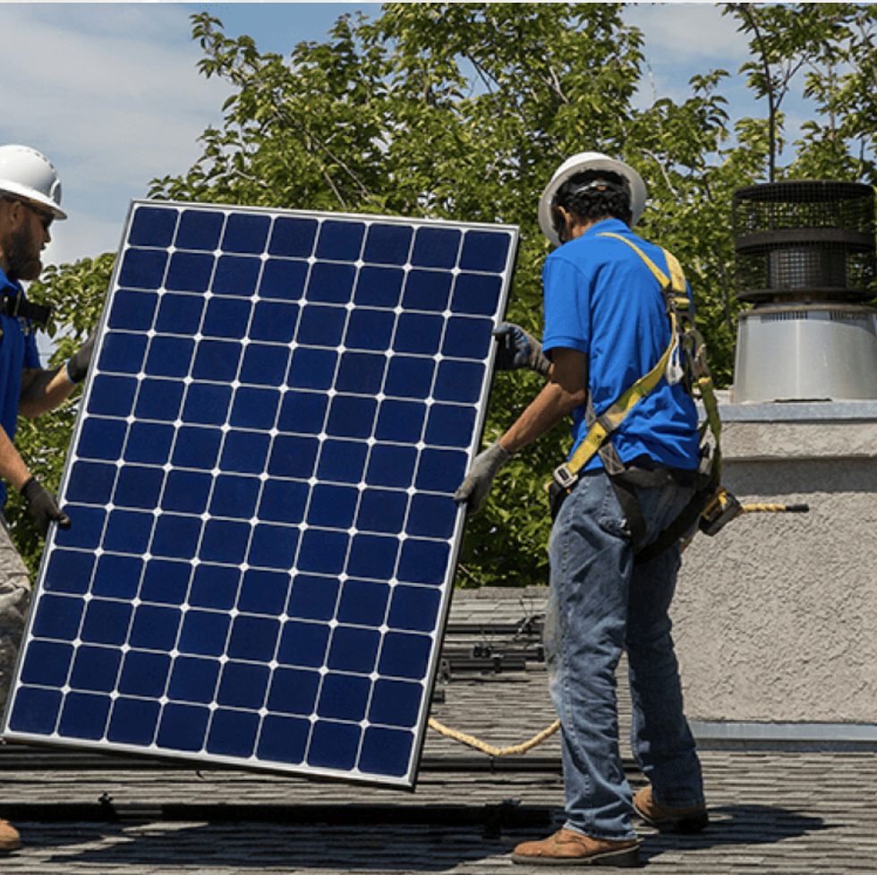 5 Best Solar Panels of 2024
