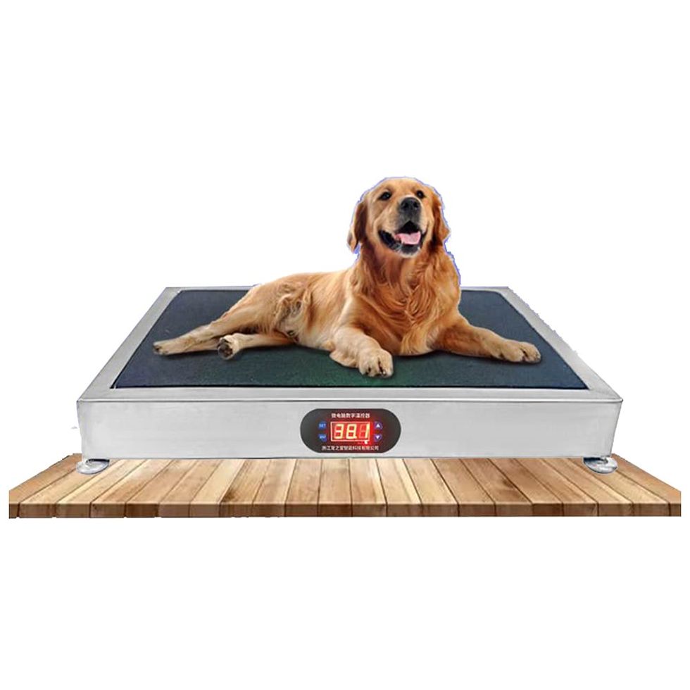 Electric Cooling Dog Bed 