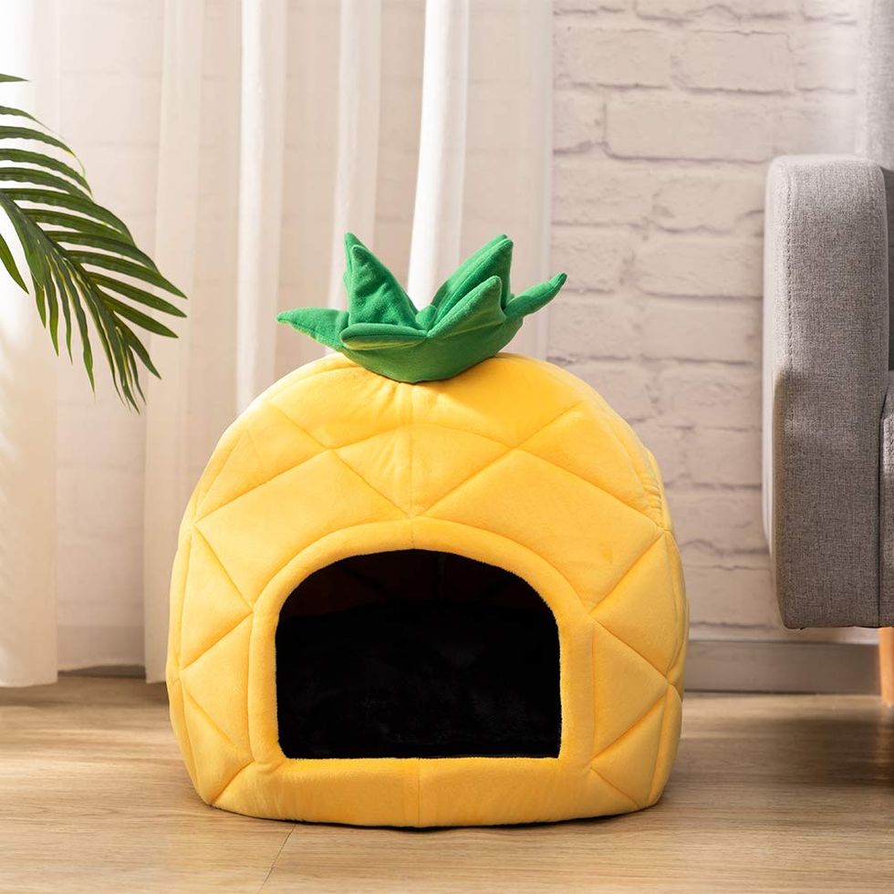 Pineapple Pet Bed