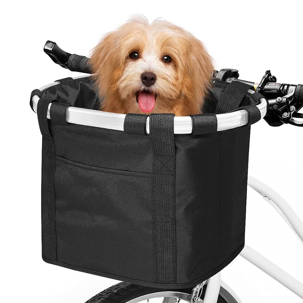 Bike Basket