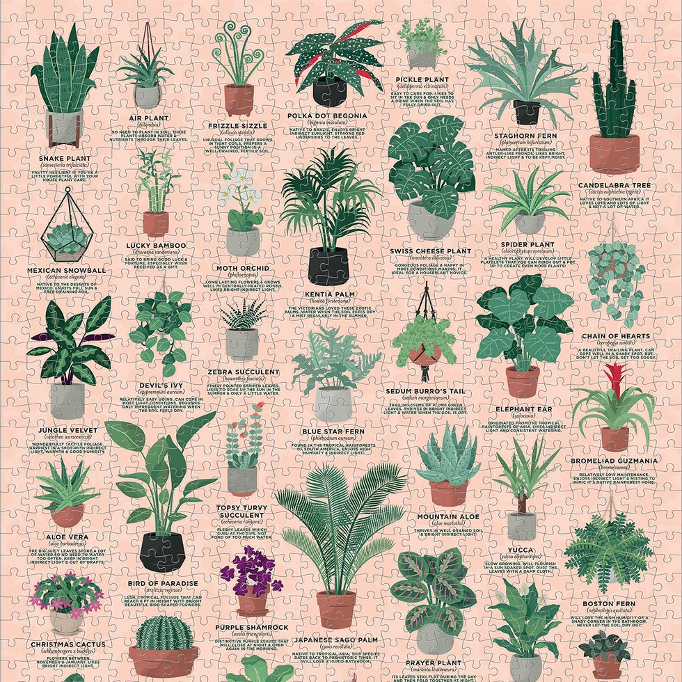 Plants 1000 Piece Jigsaw Puzzle Plants 1000 Piece Jigsaw Puzzle