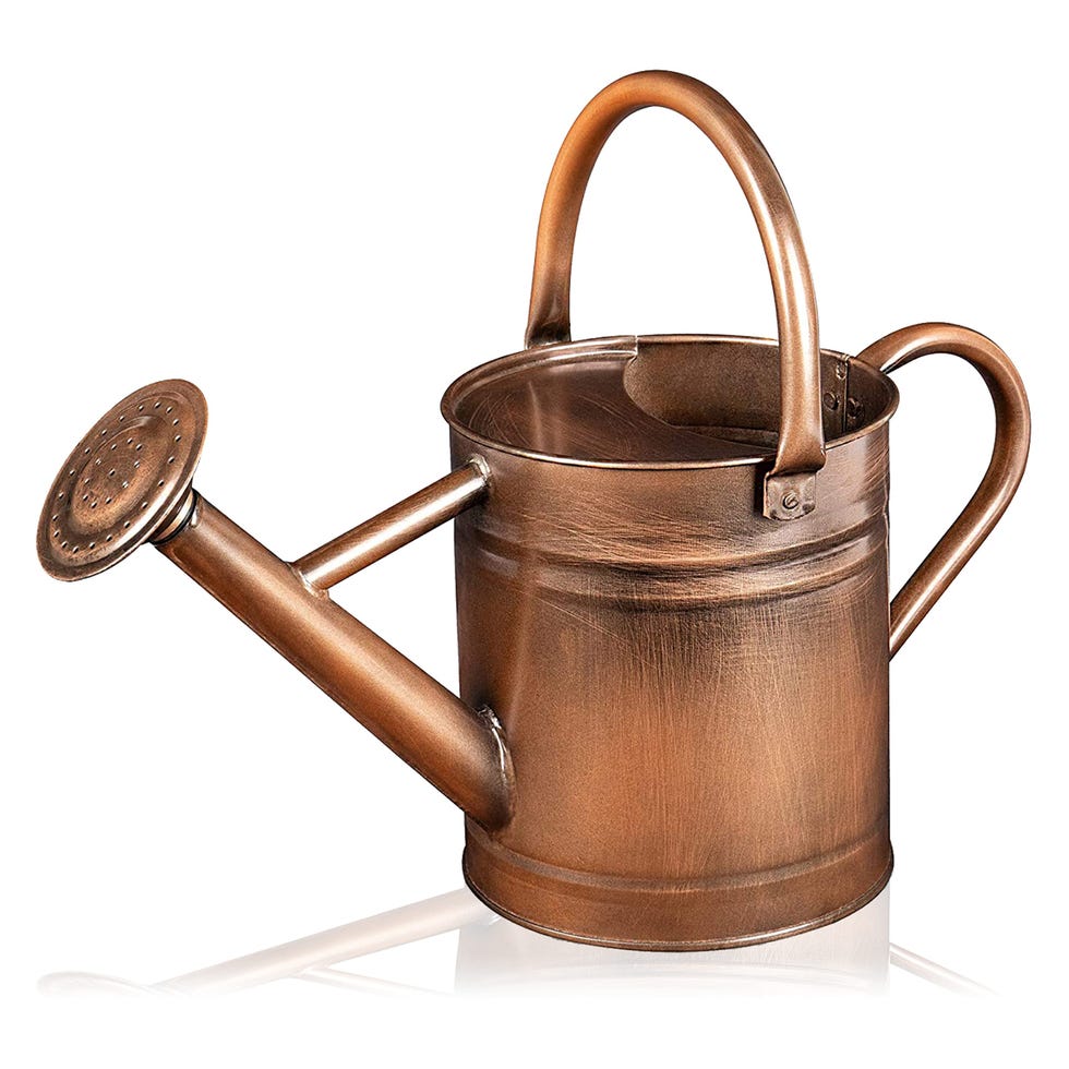 Copper Watering Can Copper Watering Can
