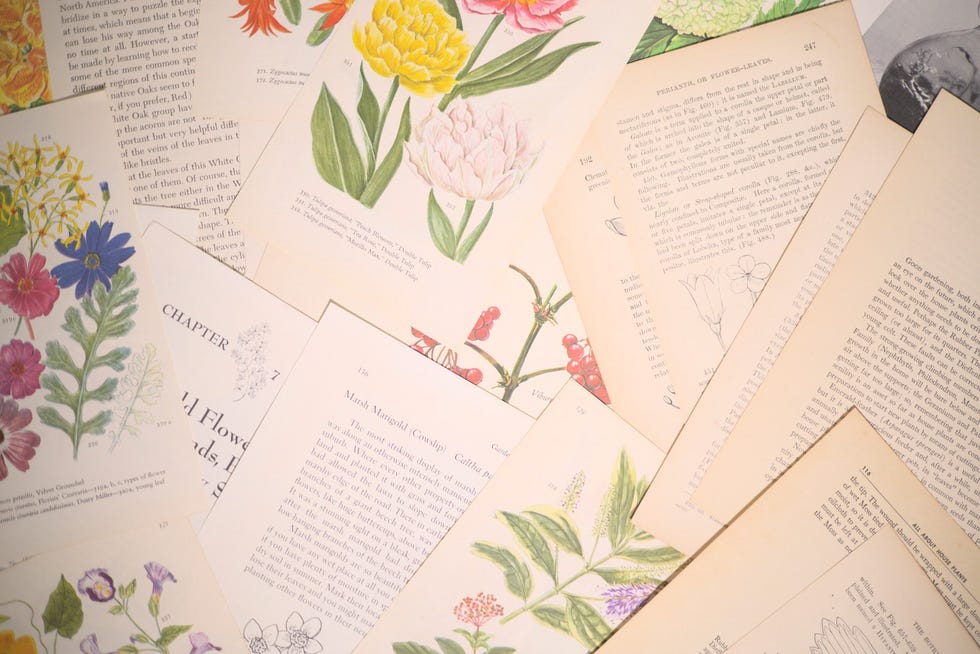 20 pc Vintage Plant Ephemera Lot