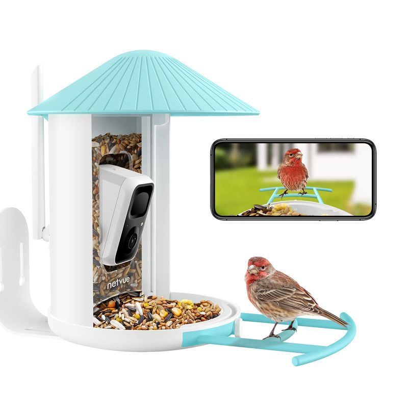 Birdfy Lite- Smart Bird Feeder Camera