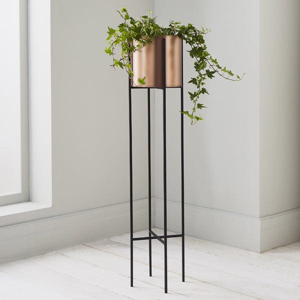 Carla Long's stand for the plants