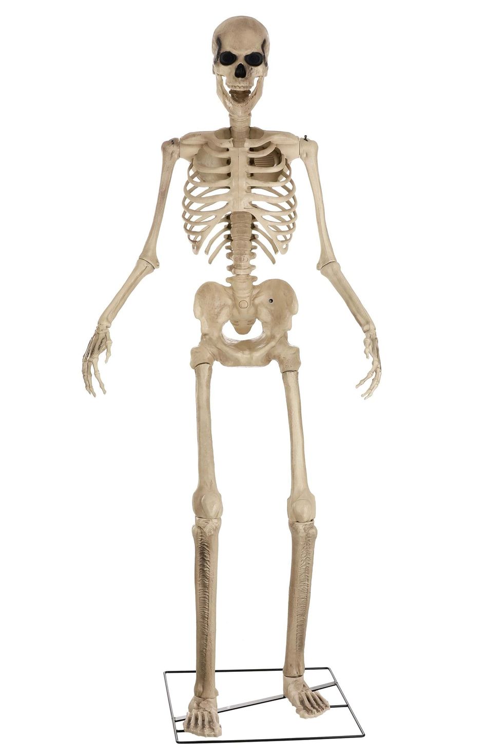 Animated Skeleton Decoration