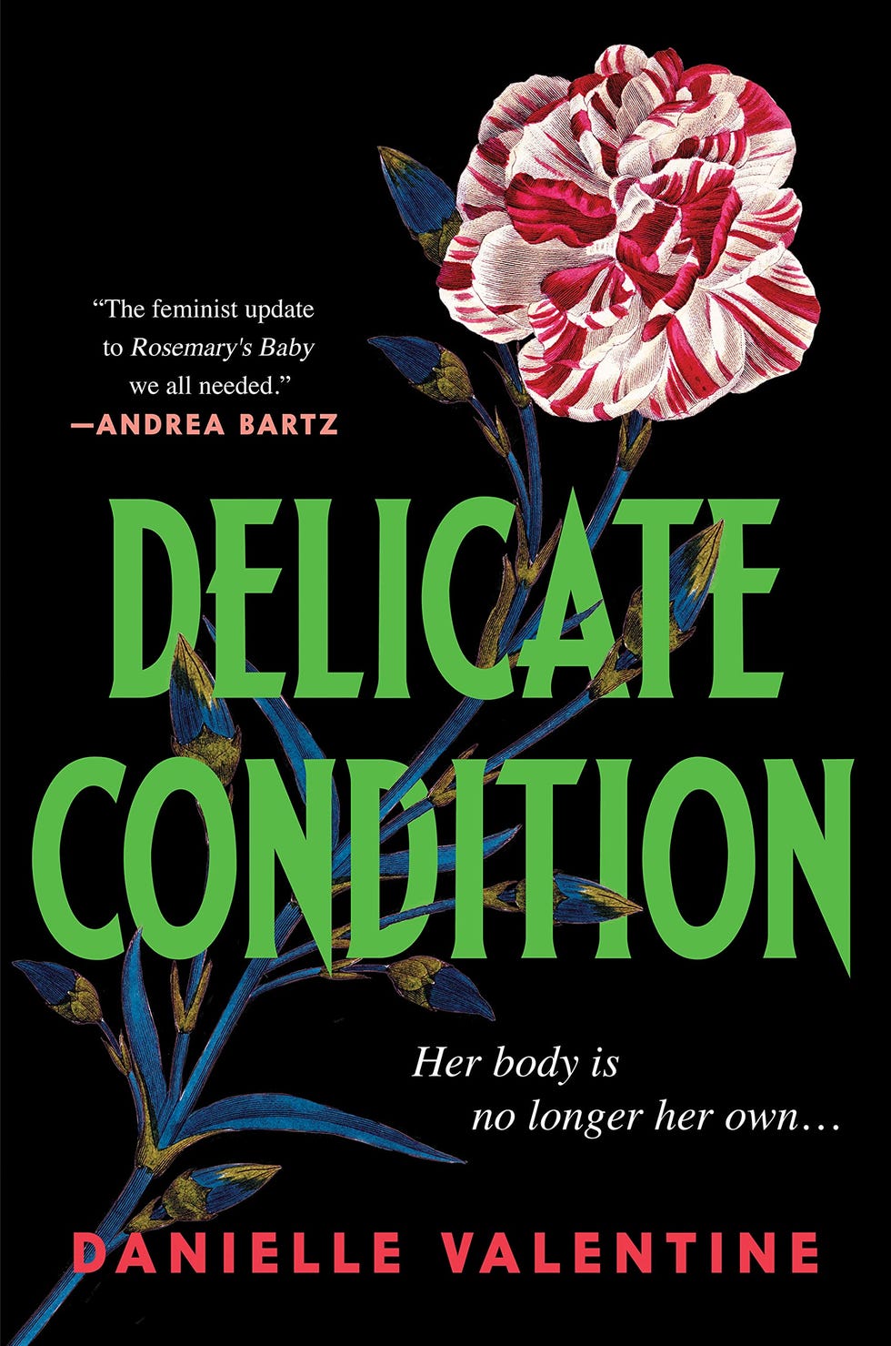 'Delicate Condition' by Danielle Valentine