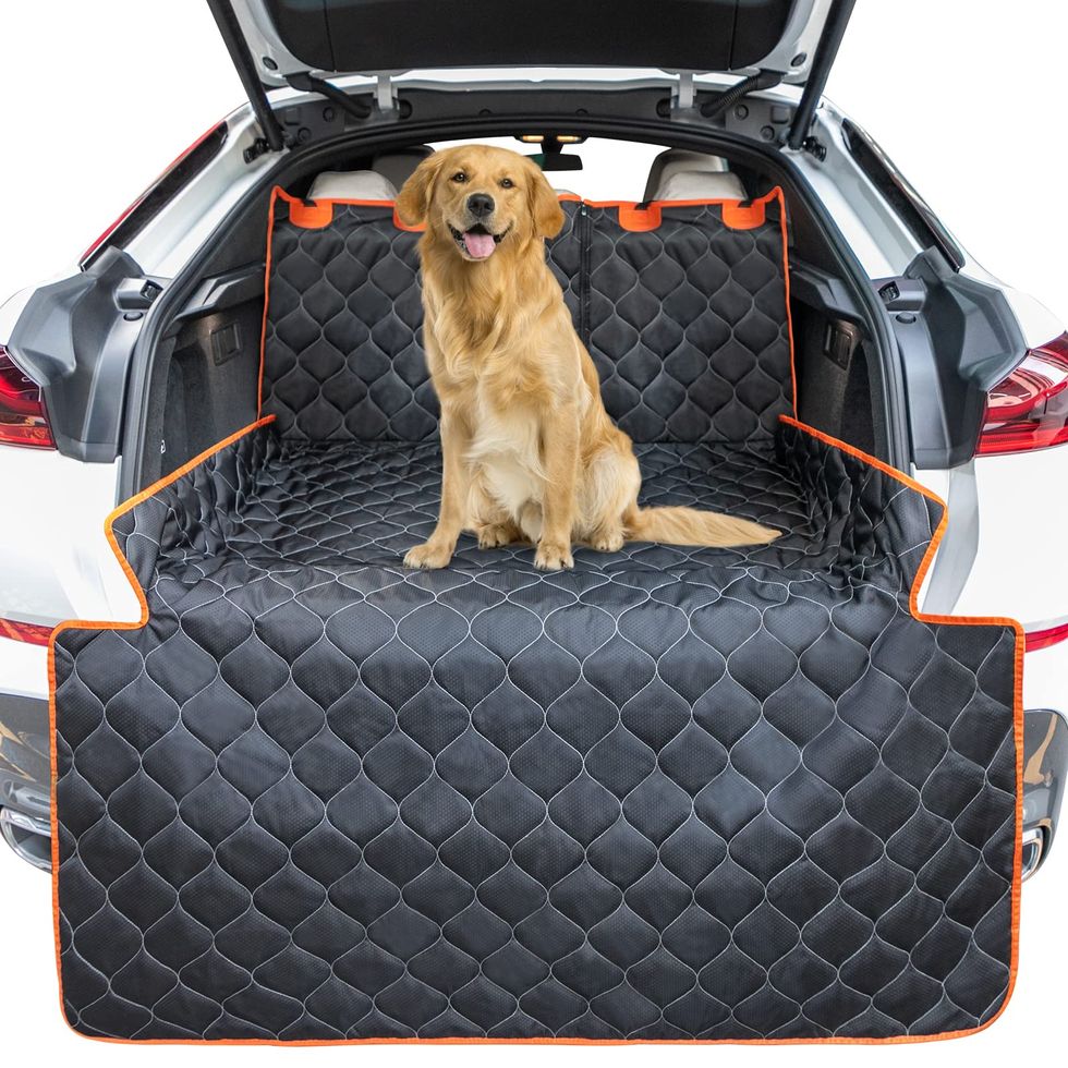 The 6 Best Dog Car Hammock Options for Your Next Road Trip [2023]