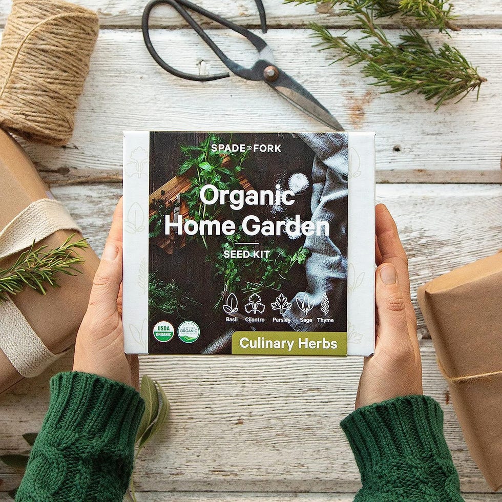 Indoor Herb Garden Starter Kit