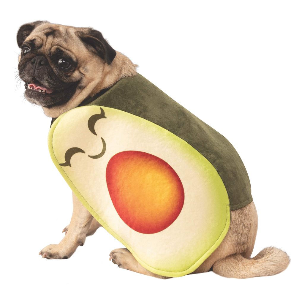 Easy-On Avocado Pet Costume