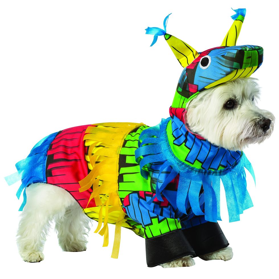 Piñata Dog Costume