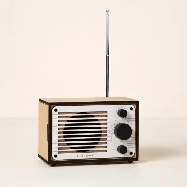 Build your own FM Radio and Bluetooth