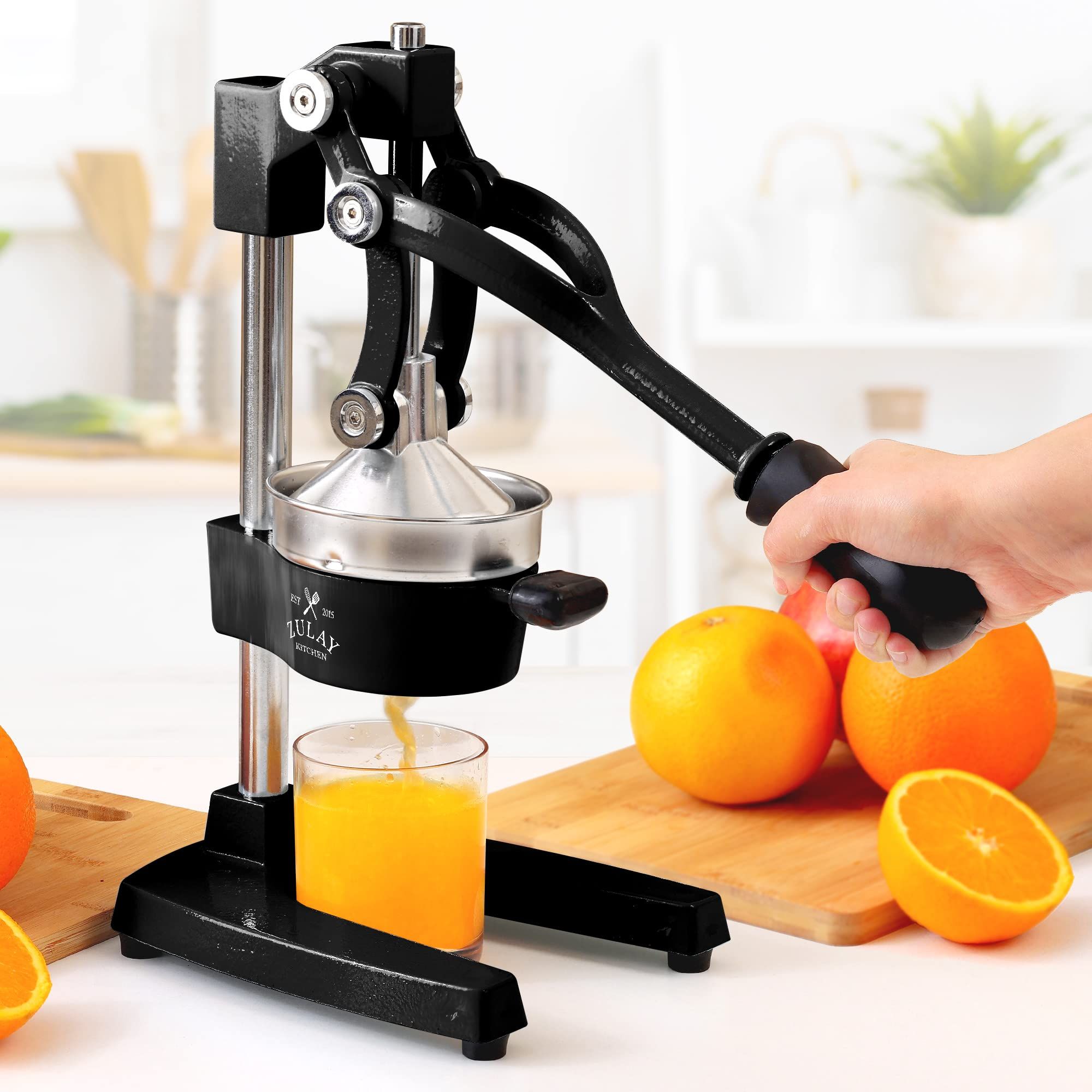 Best on sale fruit squeezer