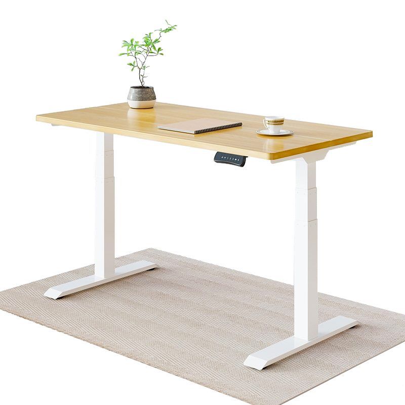 Pro Plus Standing Desk