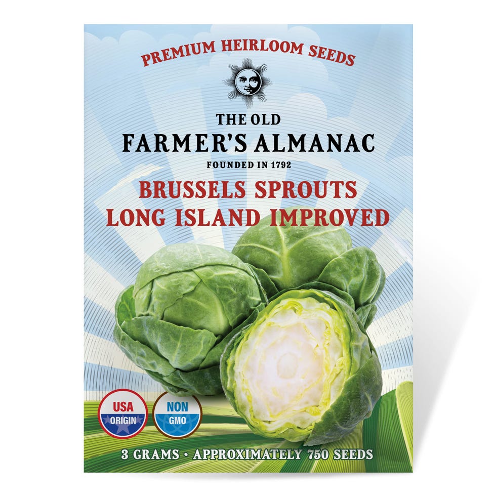 Brussels Sprouts Seeds