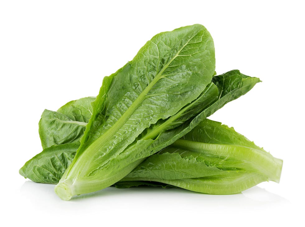 Romaine Lettuce Seeds