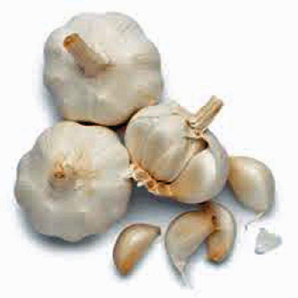 Garlic Bulbs