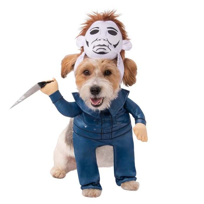 best dog costume
