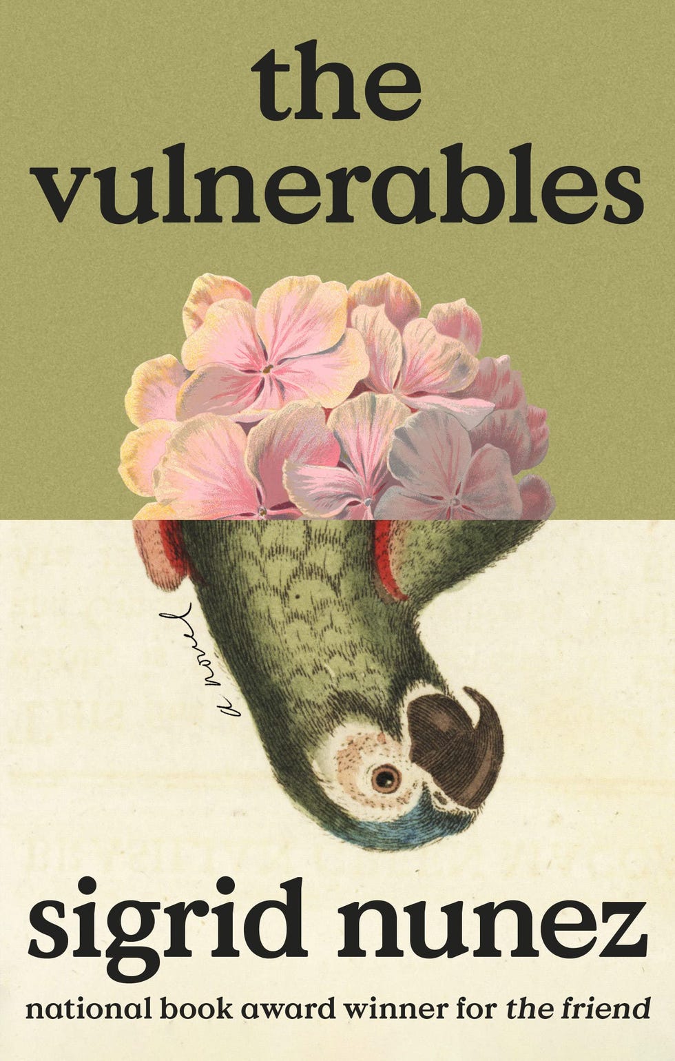 The Vulnerables The Vulnerables