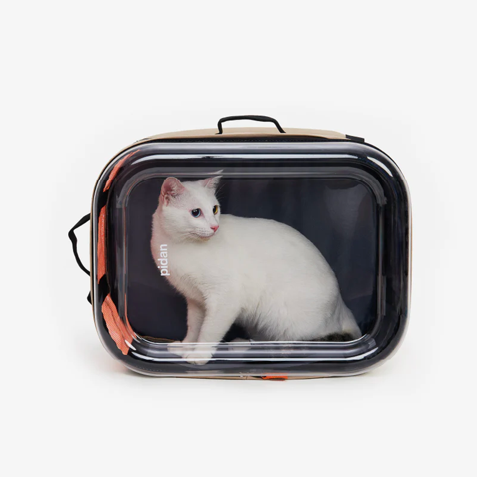 Best cat carriers, tried and tested for travelling with your pet