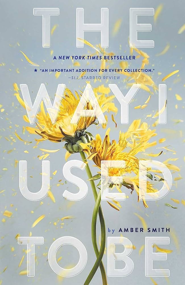 ‘The Way I Used To Be’ by Amber Smith ‘The Way I Used To Be’ by Amber Smith