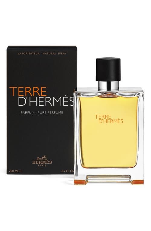 Terre dreams 2024 perfume