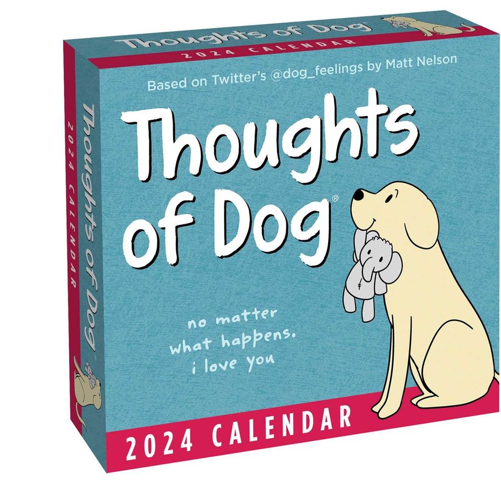 20 Creative Gift Ideas For Your Dog